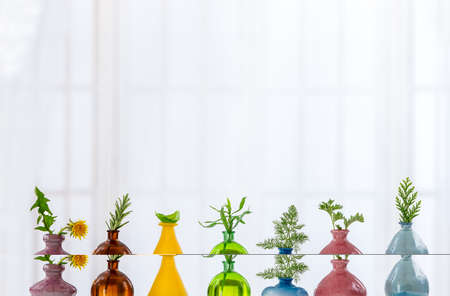 Glass and Ceramic essential oil bottles with plant s on table on interior backgroundの写真素材