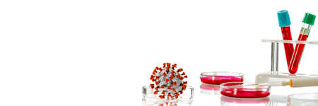 COVID-19 Coronavirus medical research laboratory researcher showing corona virus model panoramic bannerの写真素材