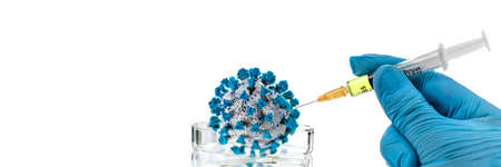 COVID-19 Coronavirus medical research laboratory researcher showing corona virus model panoramic bannerの写真素材