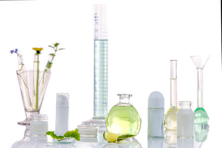 Panoramic image of a laboratory Fresh medicinal plant and Flowers ready for es for t experiment on white backgroundの写真素材