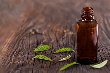 Lemon Verbena essential oil bpttle and leaves on the wooden board. Glass, freshの写真素材