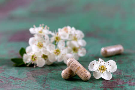 Homeopathy globules homeopathy, naturopathy and alternative medicine. Alternative homeopathy...