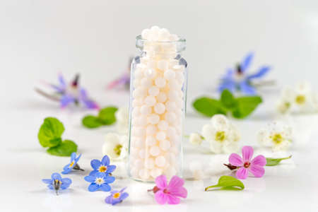 Homeopathy. Herbal extracts in small bottles. nature selective focus.