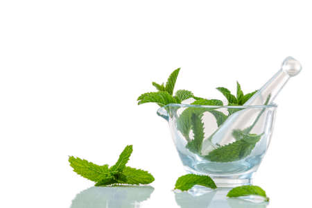 herbal therapyherbal therapy - Medicinal Virtues on white backhround