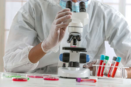 The scientist works with a microscope in a laboratory conducting experiments and formulasの写真素材