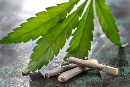 Cannabis extraction capsules,granules , tablets, marijuana compound over white backgroundの写真素材