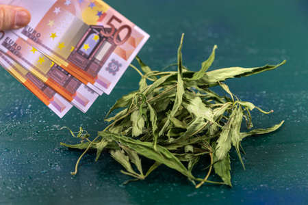 banknotes of Euros and green leaf of hemp on greenbackground, concept of making money on illegal businessの写真素材