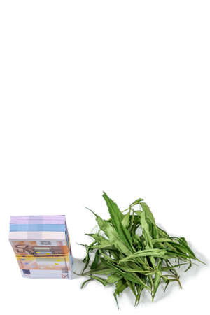 banknotes of Euros and green leaf of hemp on a white background, concept of making money on illegal businessの写真素材
