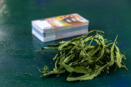 banknotes of Euros and green leaf of hemp on greenbackground, concept of making money on illegal businessの写真素材