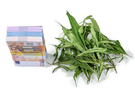 banknotes of Euros and green leaf of hemp on a white background, concept of making money on illegal businessの写真素材
