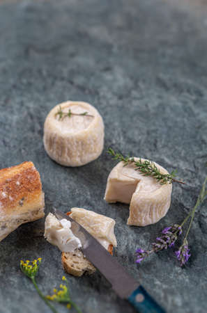 Goat cheese crottin de chavignol. Speciality, tasting wich knife and breadの写真素材