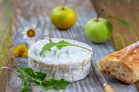 Sliced round camembert cheese traditional french milk creamy dairy product with fresh aromatics herbsの写真素材