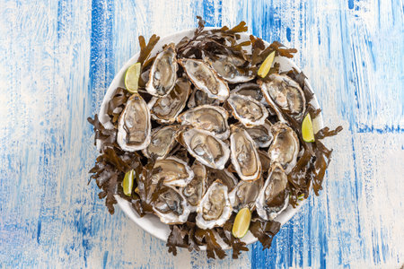 Platter of oysters on blue boardの写真素材