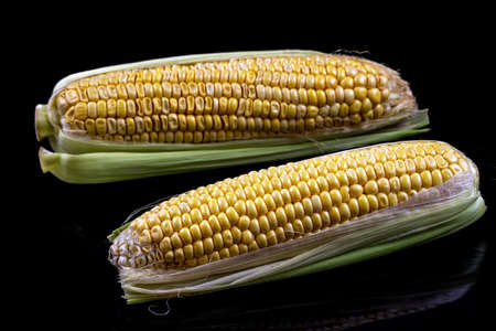 Packaged and sealed fresh grocery store yellow corn. Isolated. on blackの写真素材