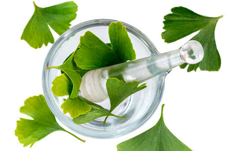 Gingo biloba leaves in a glass mortar on a white background.
