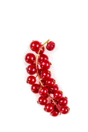 Gooseberries Ribes Rubrum red fruitsの写真素材