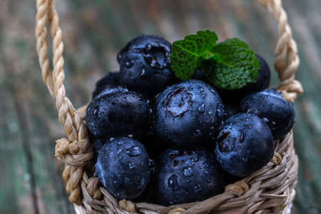 Blueberries Vaccinium myrtillusgastronomy and herbal medicineの写真素材