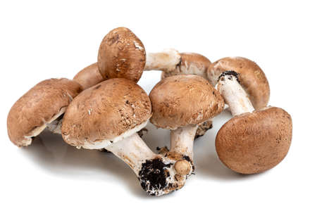 Champignon mushrooms on white background, space for textの写真素材