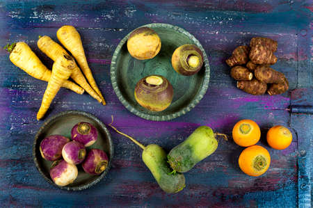Fresh colorful radish turnip rutabagas roots at farmers market, heirloom varietal vegetablesの写真素材