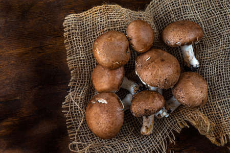 White mushrooms, Paris mushrooms, champignon on brown and brown wooden background and texture.の写真素材