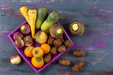 Fresh colorful radish turnip rutabagas roots at farmers market, heirloom varietal vegetablesの写真素材