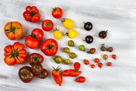 Old tomatoes scattered on a light gray fonfd.の写真素材