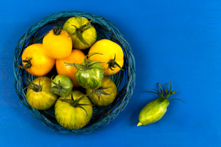 Yellow tomatoes and Green Zerbra in a basket on a blue background.の写真素材