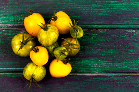 Yellow tomatoes and Green Zerbra grouped on the left on a green background.の写真素材