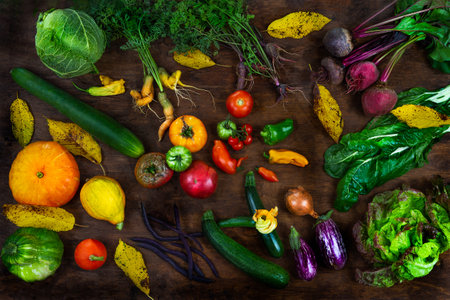 Old carrots, beets, tomatoes, pumpkins, zucchini, autumn leaves cucumber, chard, cabbage salad petimarrons on an old wooden boardの写真素材
