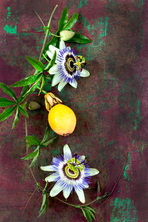 Passion Flower Fruit Flat Lay on a Wooden Backgroundの写真素材