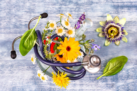 Natural healthcare concept-Herbal plant medicine preparation with herbs and flowers, mortar with pestle .and stethoscopeの写真素材