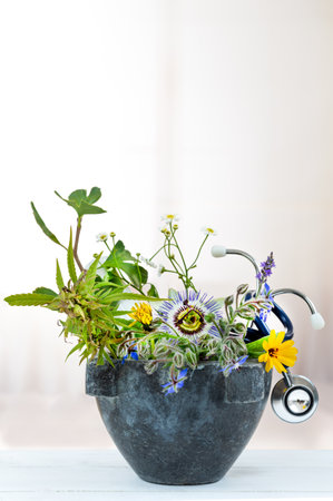 Phytotherapy, health through plants - Conceptual photo.の写真素材