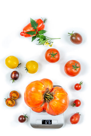 Tomato of on an electronic scale,surrounded by various other species-Top view on a cropped white background.の写真素材