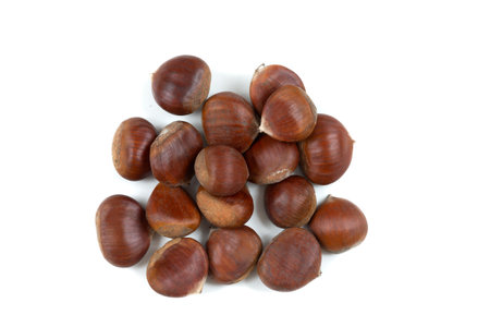 Chestnuts- Edible fruit of the chestnut tree on whhite backgroundの写真素材