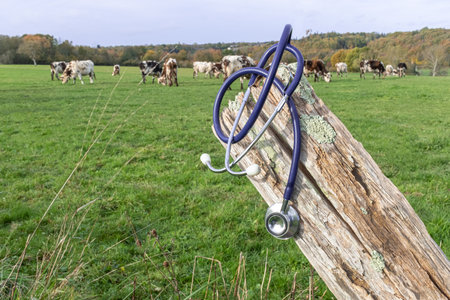 Conceptual Photo. lack of doctors and emergency services.の写真素材