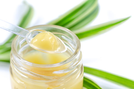 Royal jelly close-up in the spoonの写真素材