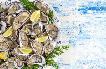 Close up Fresh oysters with lime on a plate. Oyster season. Seafood dish on a blue background. Oyster on the half shell. Top view.Free space.の写真素材