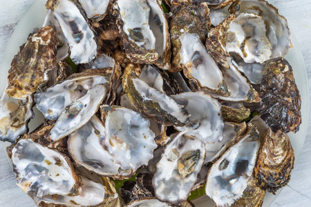 Empty oyster shell to be recycled for health, care, gardening, agriculture, cosmetics, pharmaceuticalsの素材 [FY310196353251]