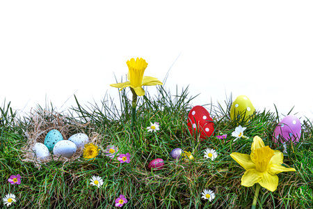 Eggs arranged in the grass around spring daisies, hyacinths, tulips flowers