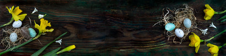 Easter Egg panorama banner on old dark wooden painted background