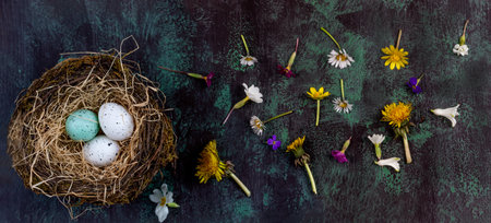 Panoramic Easter eggs nest, next to spring flowers
