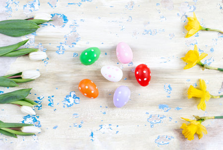 Easter egg in nest with spring flowers narcicus and tulipson white wooden background