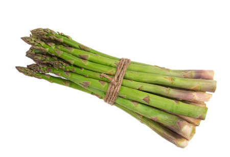 Close-up of a fresh raw asparagus bunch tied with a burlap twine isolated PNG file transparent background.の写真素材