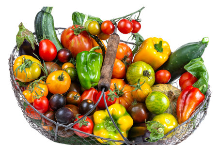Basket with vegetables (cabbage, carrots, cucumbers, radish and peppers) in the hands of a farmer background of nature Concept of biological, products,の写真素材
