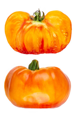 Studio shot of half yellow and orange tomatoes on white backgroundの写真素材