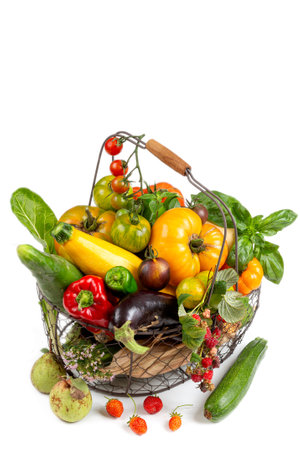 Basket with vegetables (cabbage, carrots, cucumbers, radish and peppers) in the hands of a farmer background of nature Concept of biological, products,の写真素材
