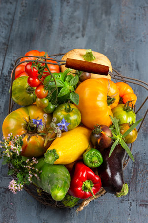 Basket with vegetables (cabbage, carrots, cucumbers, radish and peppers) in the hands of a farmer background of nature Concept of biological, products,の写真素材