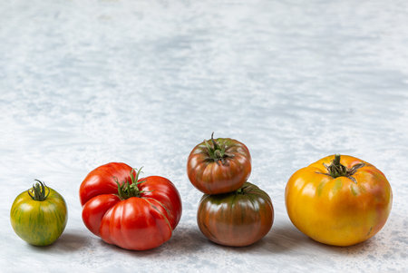 fresh line of heirloom and heritage tomatoes from the garden allotment. Multicolored, red, green, black, purple, orange and yellow tomatoesの写真素材
