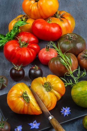 freshly harvested heirloom and heritage tomatoes on cutting board. Multicolored, red, green, black, purple, orange and yellow tomatoes ready to eatの写真素材