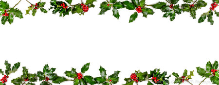 Christmas holidays composition on white background with copy space for your text. Decoration - Christmas Borderの写真素材